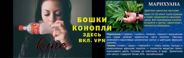 спайс Няндома