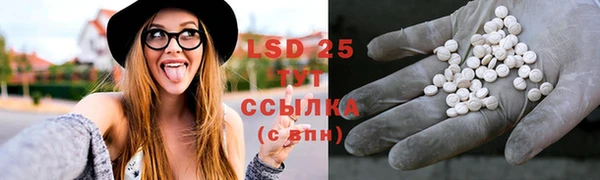 a pvp Новодвинск