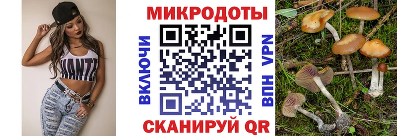 omg зеркало  Камбарка  Псилоцибиновые грибы GOLDEN TEACHER 