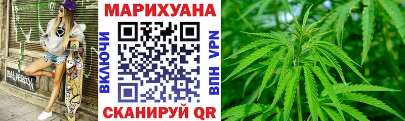 Бошки Шишки SATIVA & INDICA  продажа наркотиков  Камбарка 